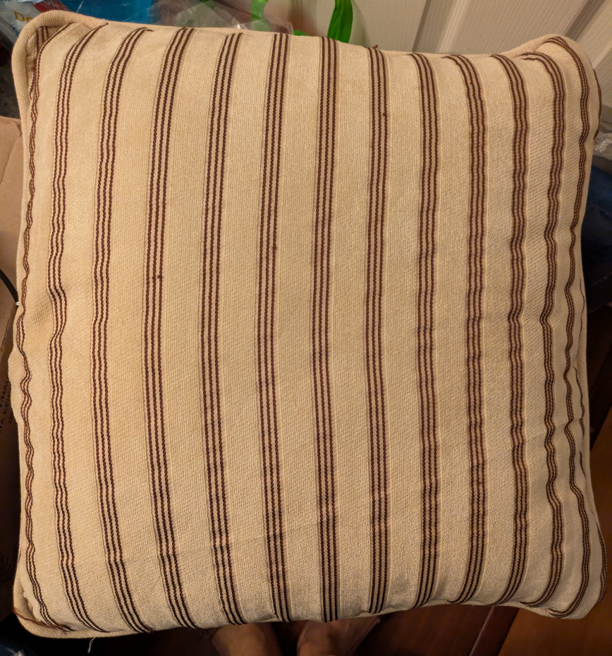 🏆 Throw Pillows x 2