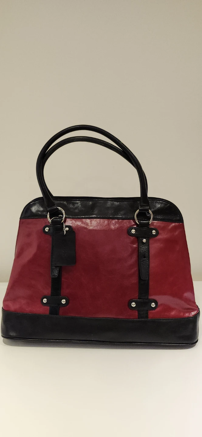 Danier Leather Chic Two-Tone Tote Bag