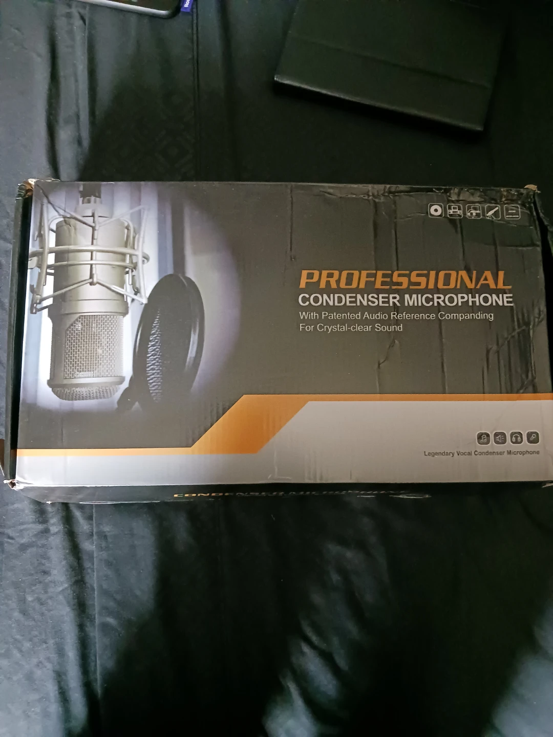 Professional Condenser Microphone