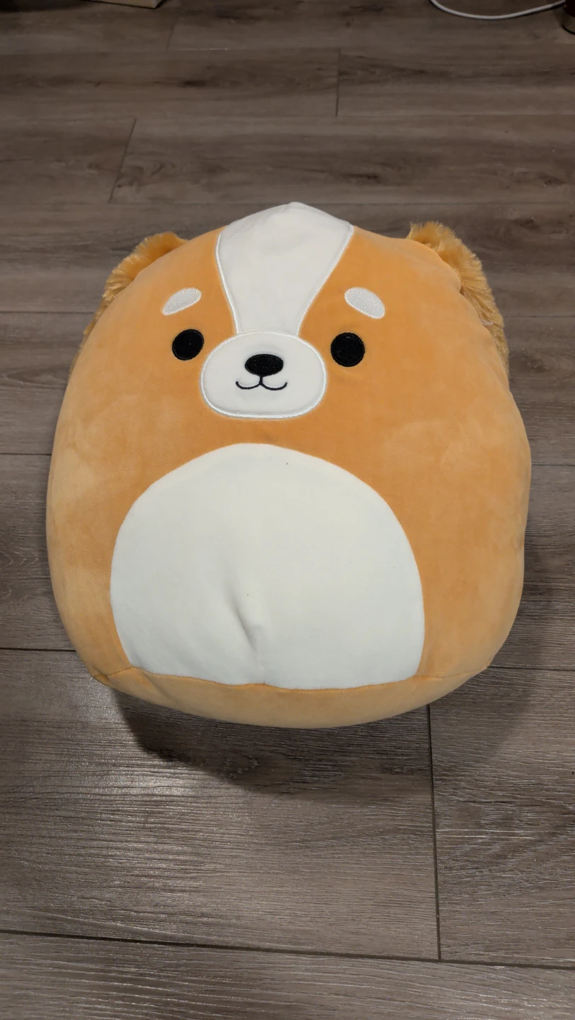 Squishmallow Dog Plush Toy
