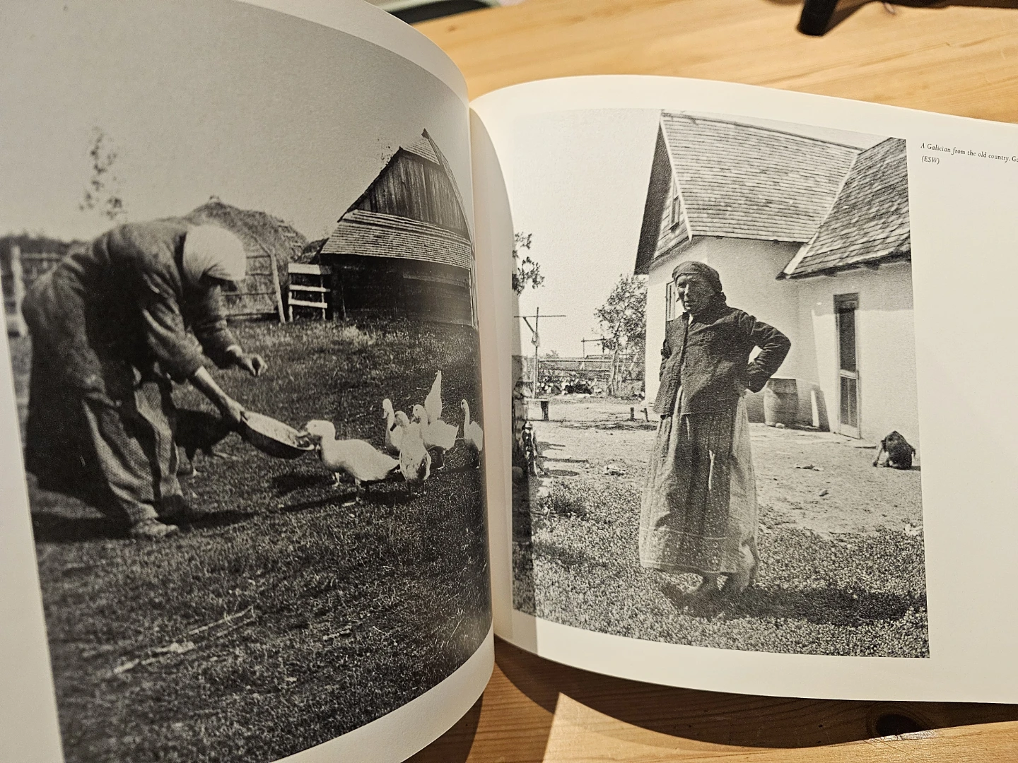 Working Light: The Wandering Life of Photographer ... - photo 4