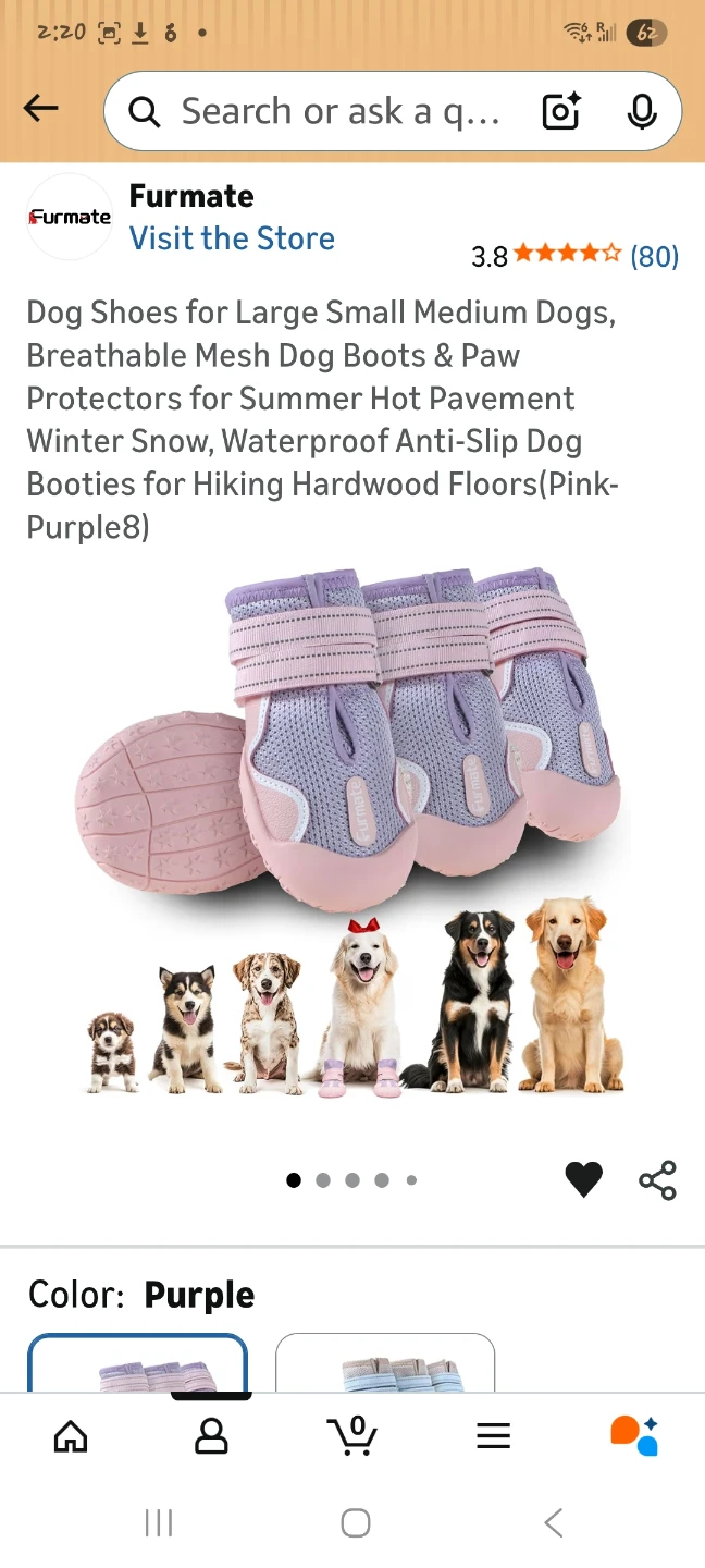 Furmate Dog Boots - Purple, Size 8