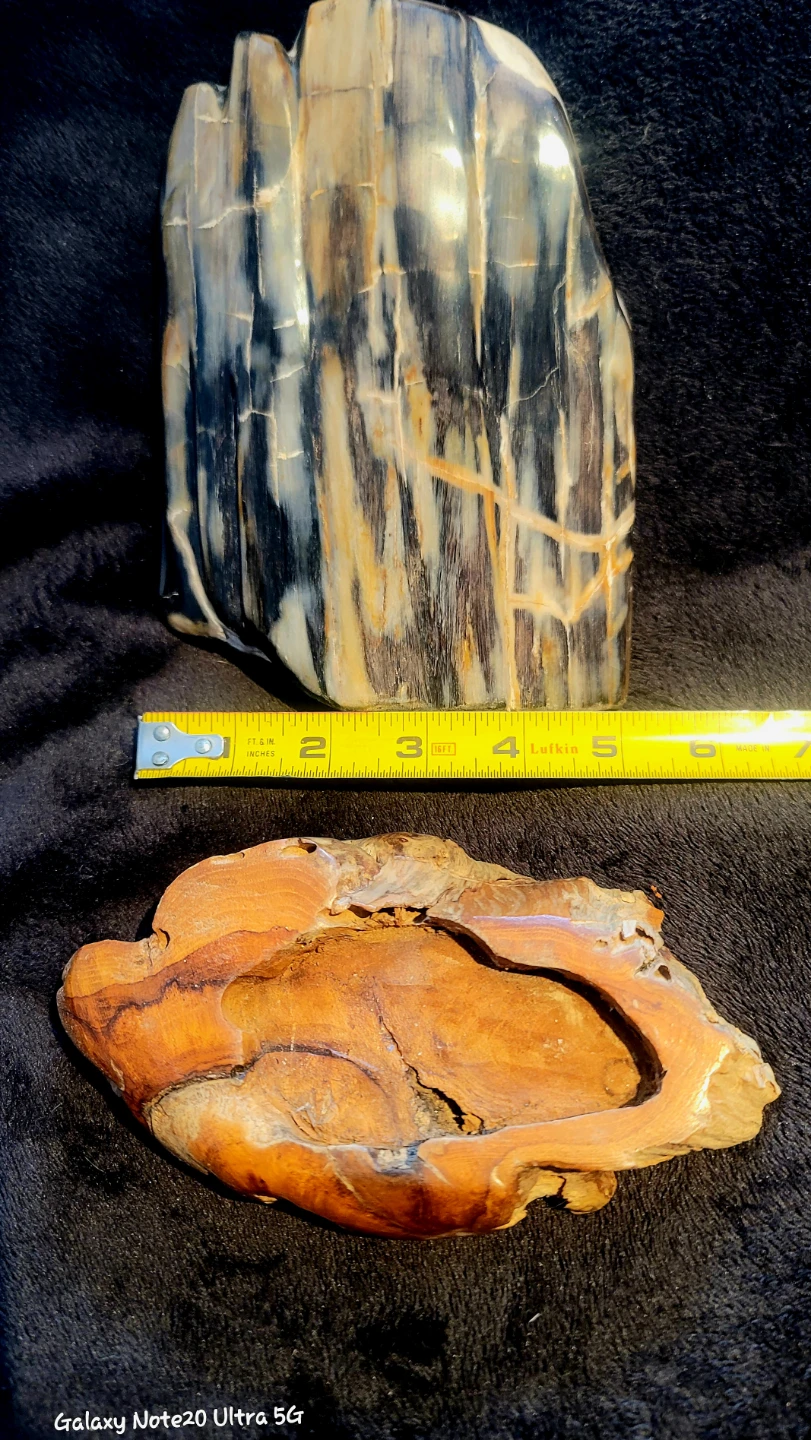 Petrified Wood Sculpture with Wooden Base - photo 5