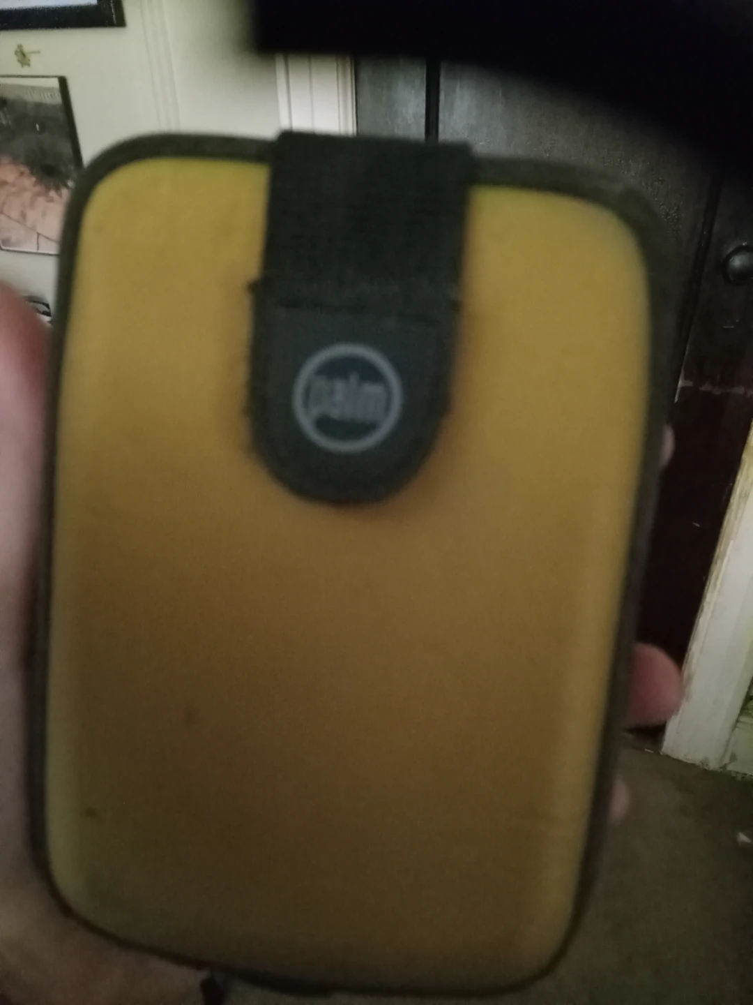 Palm Zire 21 PDA