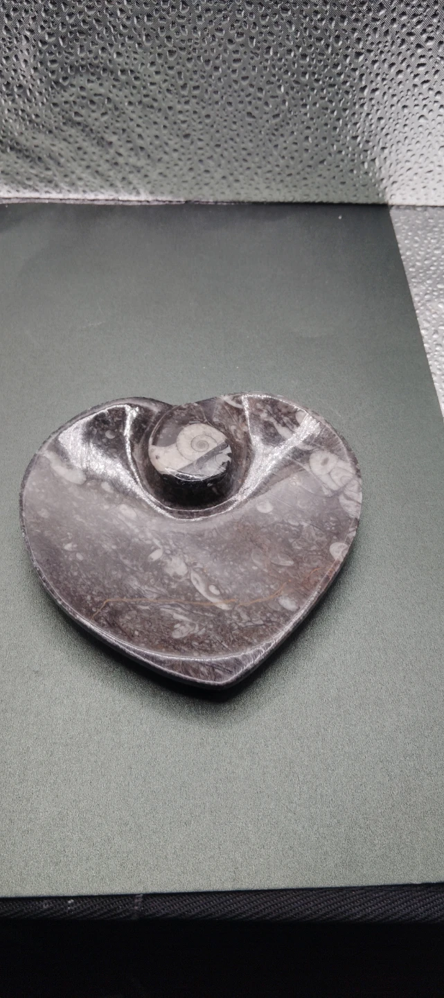 Heart Shaped orthoceras Ammounit fossil Stone Dish - photo 4