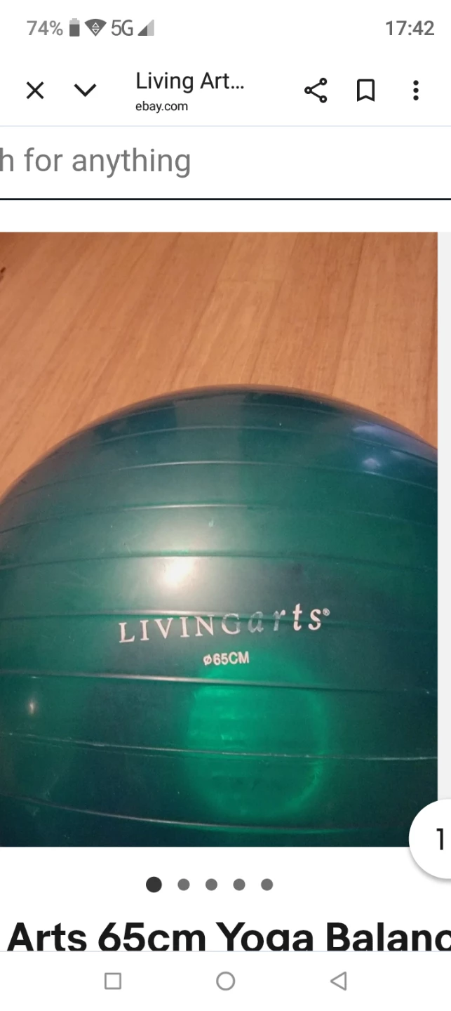 Living Arts 65cm Yoga Balance Ball
