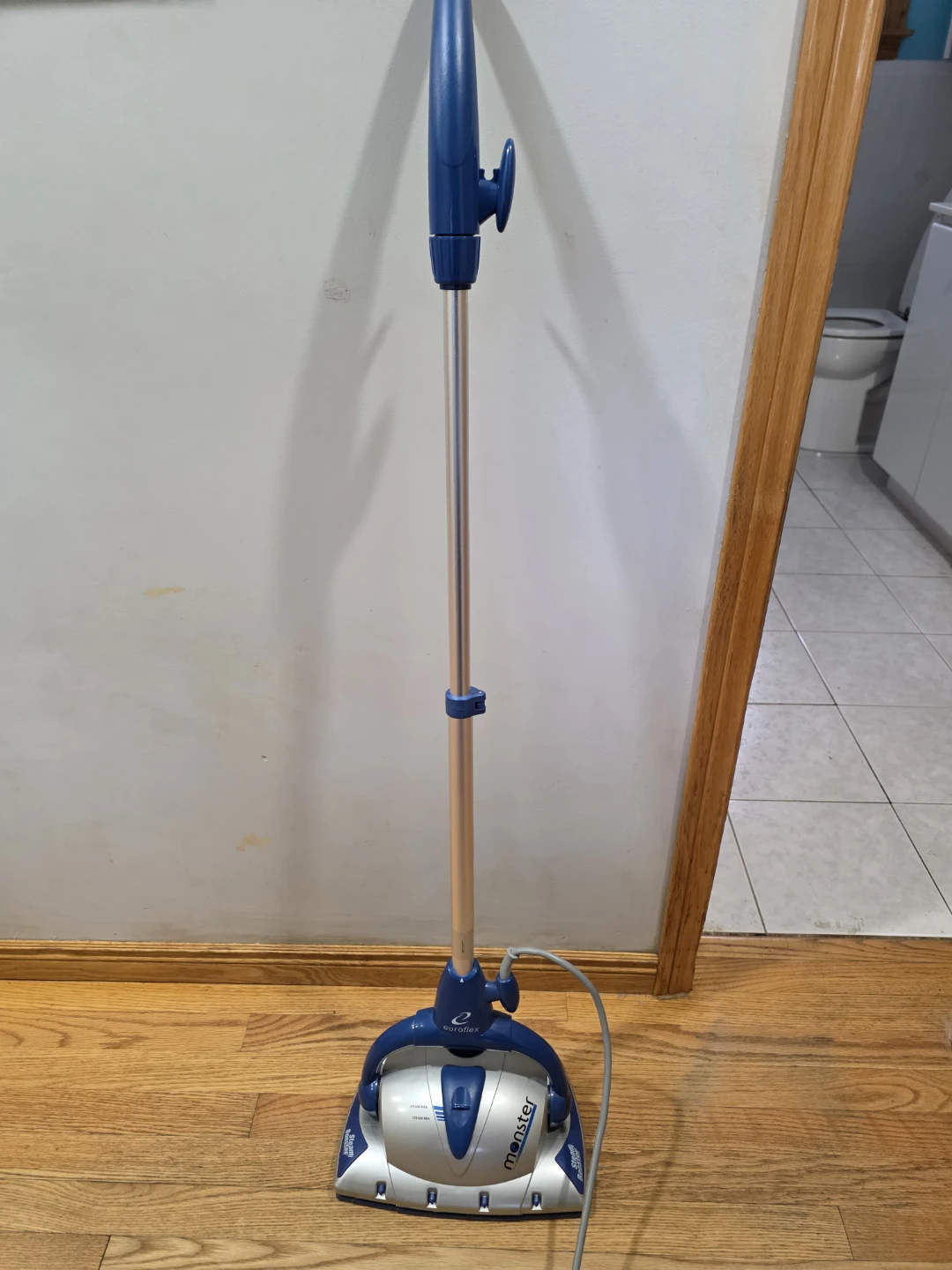 Euroflex Monster Steam Cleaner - photo 2