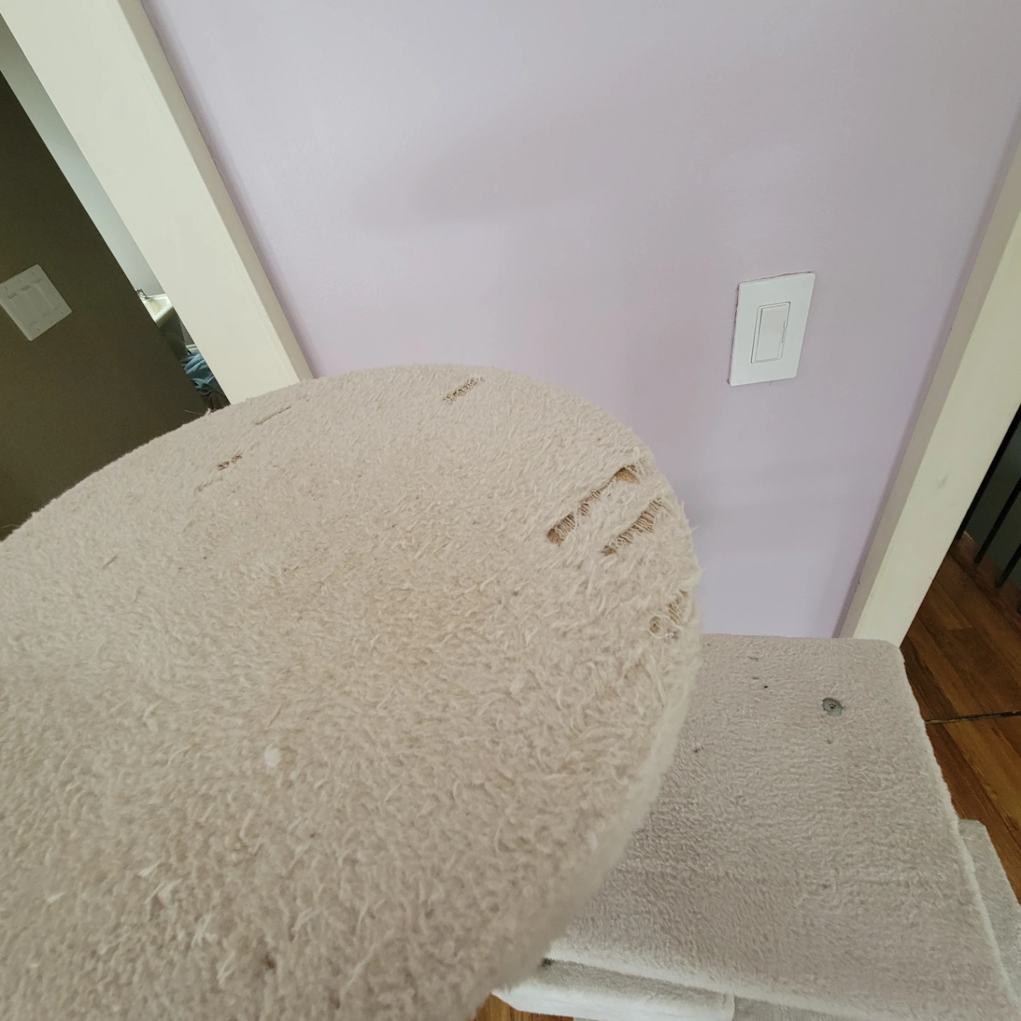 Free Cat Tree! - photo 2