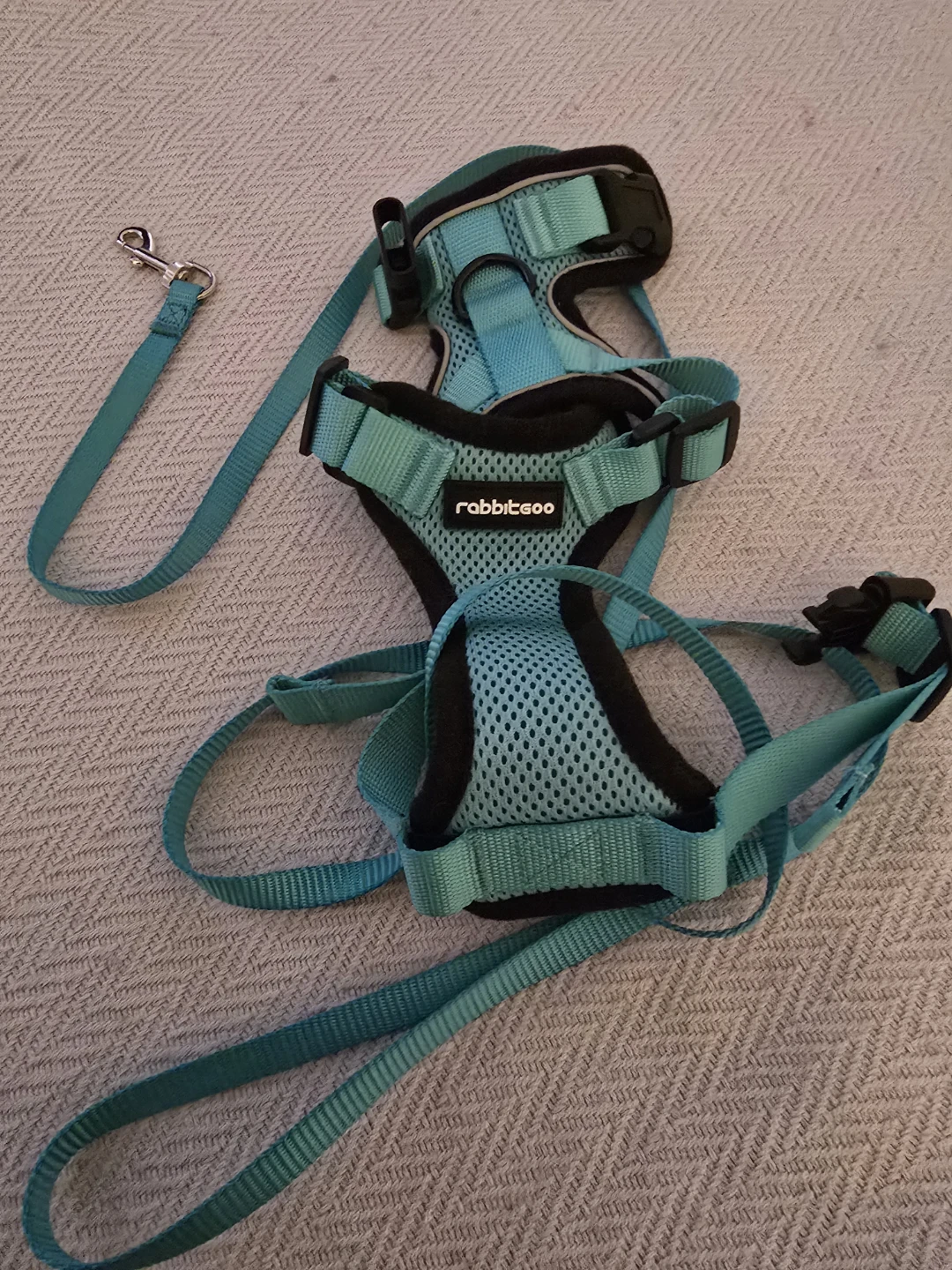 Rabbitgoo Pet Harness and Leash Set - Teal XS