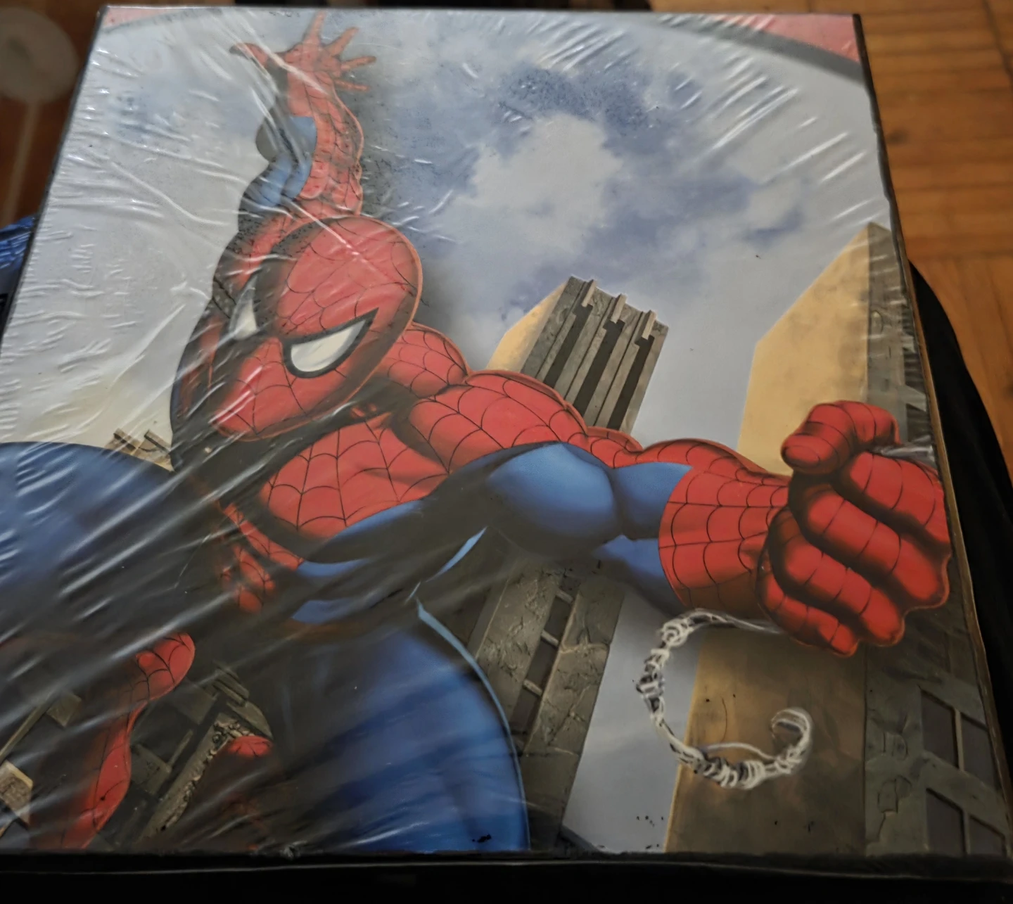 Spider-Man Wall Art