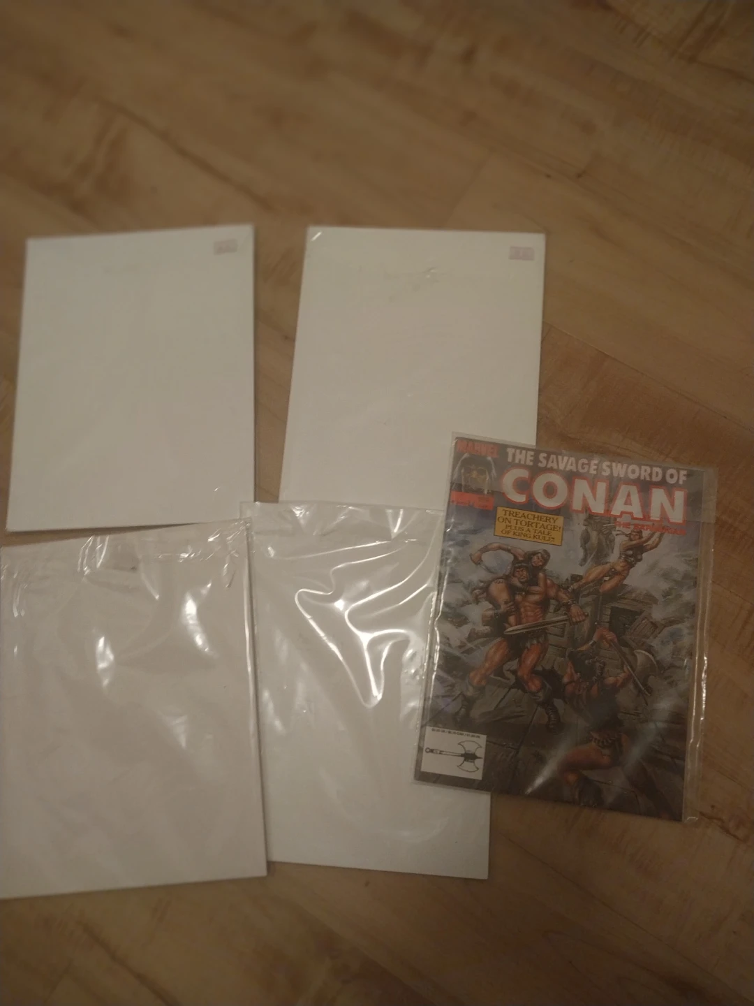 The Savage Sword of Conan Comic Collection - photo 4