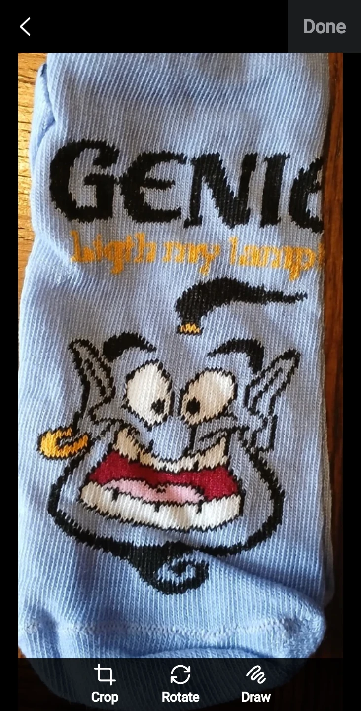ALADDIN GENIE ANKLE SOCKS ONE SIZE