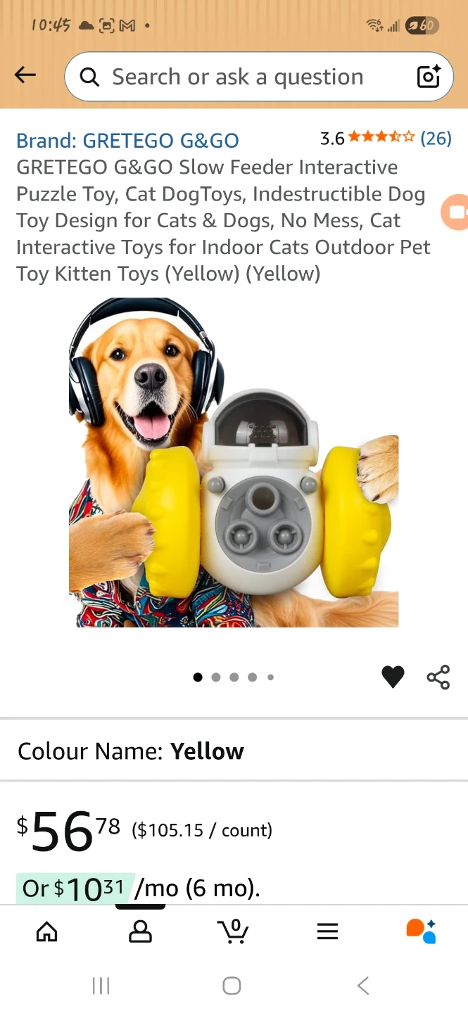 Astronaut Slow Feeder Interactive Pet Toy