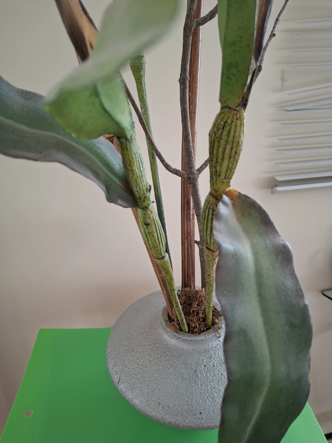 Silk Orchid Floral Arrangement🥕 - photo 5