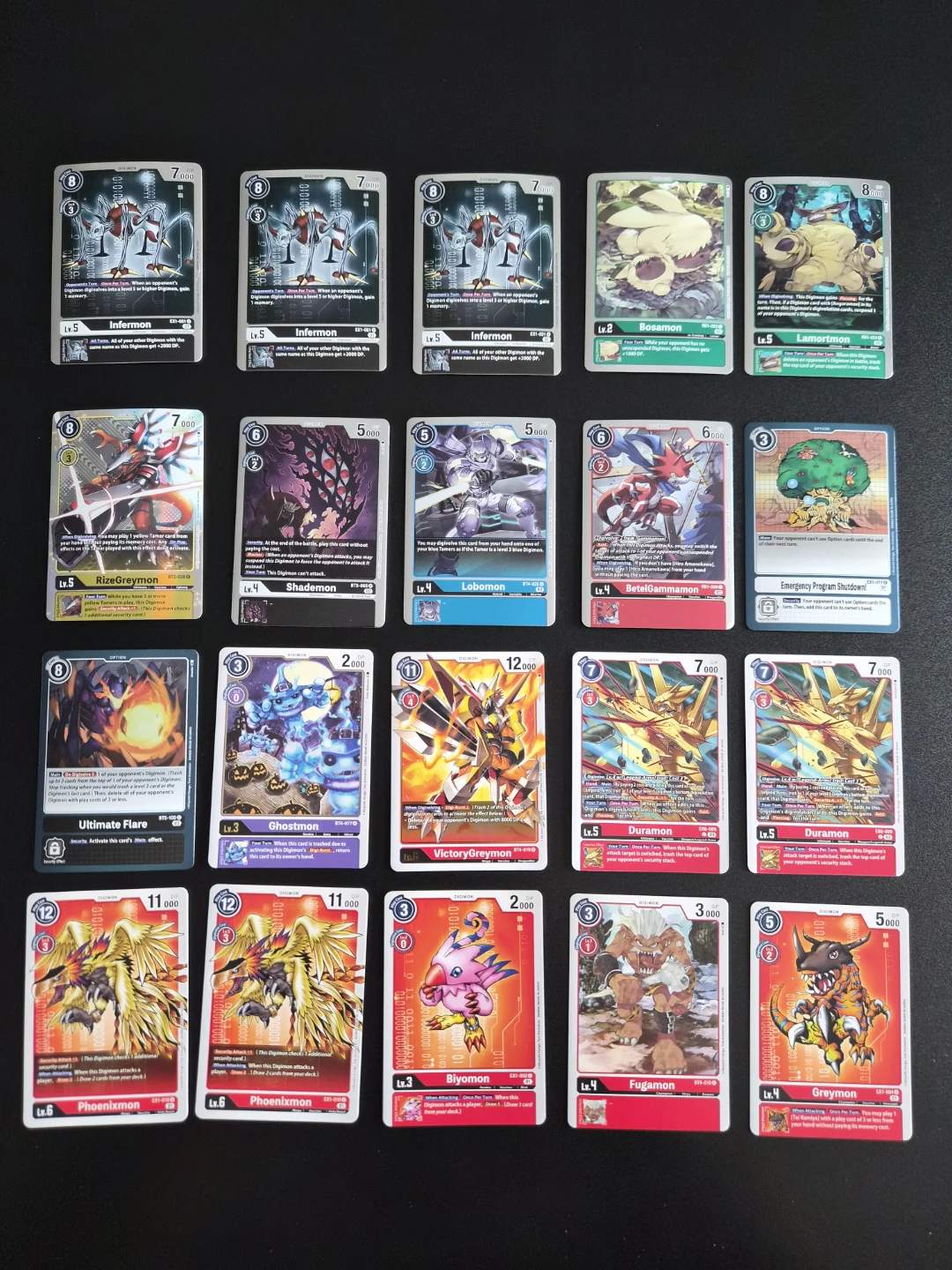 Read Bio | Digimon Card Lot 