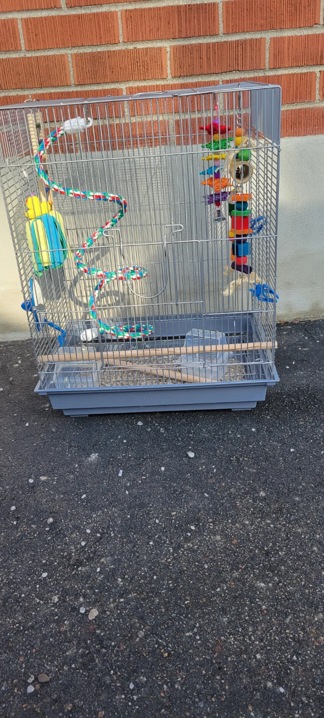 Bird Cage with Toys and Perches