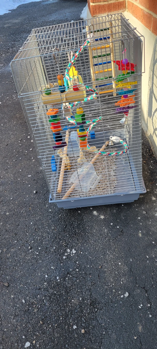 Bird Cage with Toys and Perches - photo 2