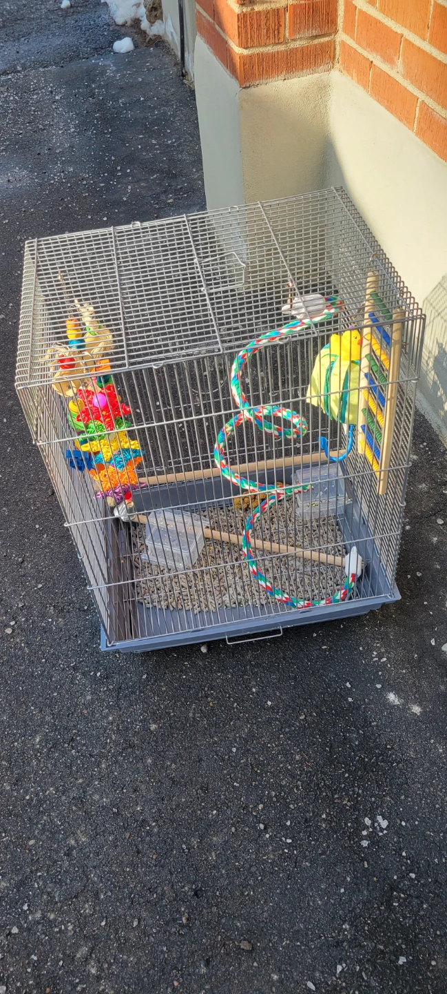 Bird Cage with Toys and Perches - photo 3