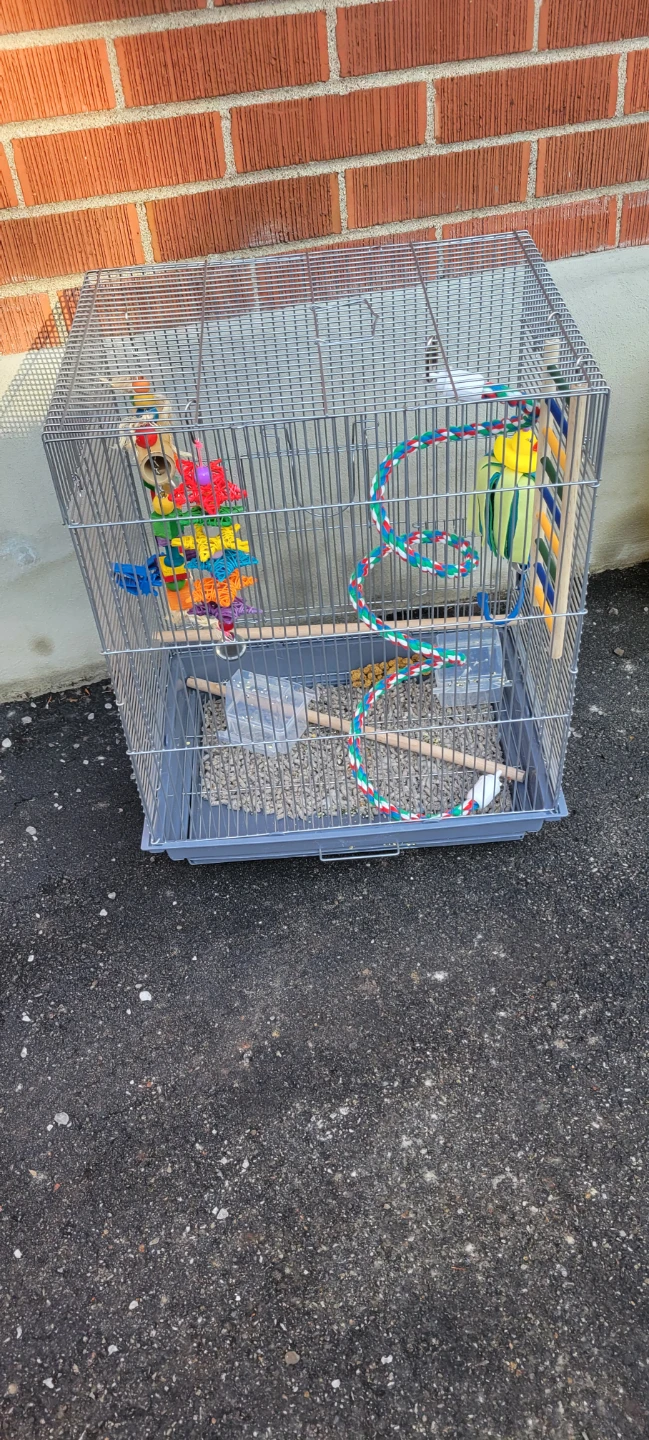 Bird Cage with Toys and Perches - photo 5