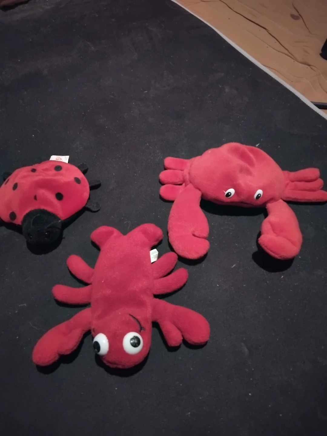 3 plush beanie marine/insect toys