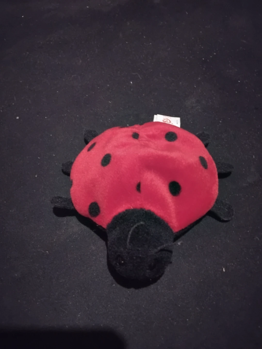 3 plush beanie marine/insect toys - photo 2