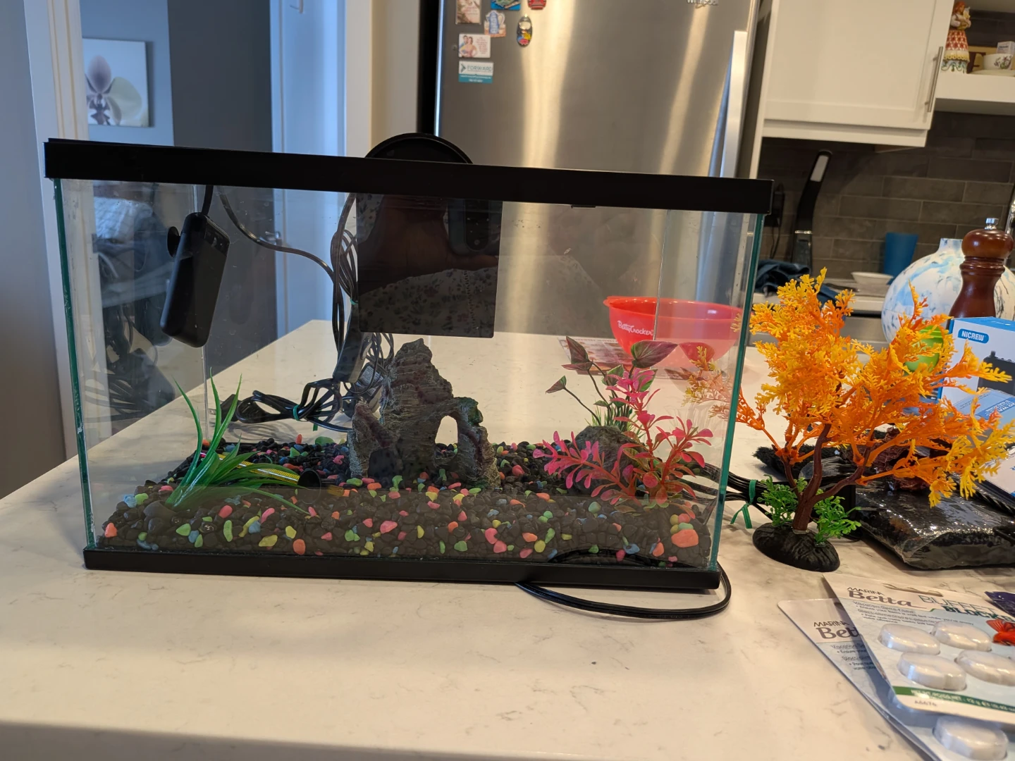 Aquarium Fish Tank with Decorations