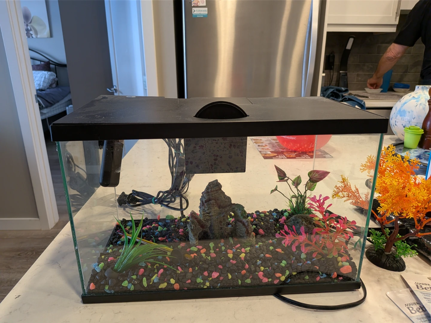 Aquarium Fish Tank with Decorations - photo 2