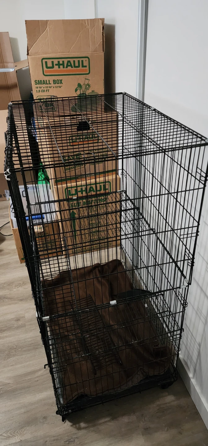 Metal Cat Cage