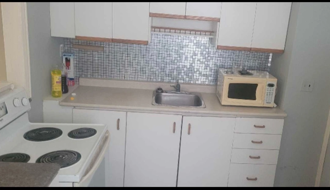 One Bedroom Apartment for Rent in Welland - photo 4