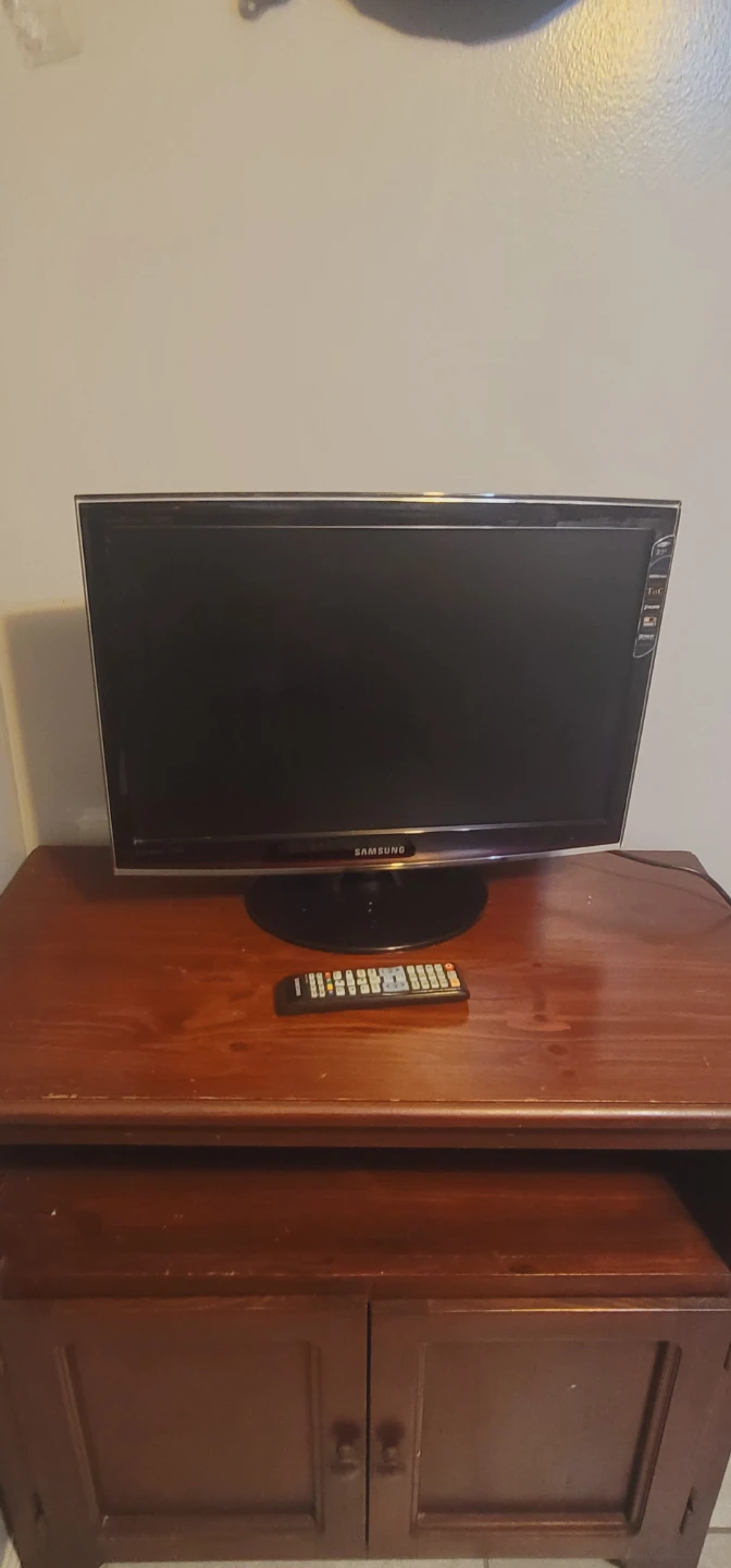 Samsung 22" HDTV Monitor