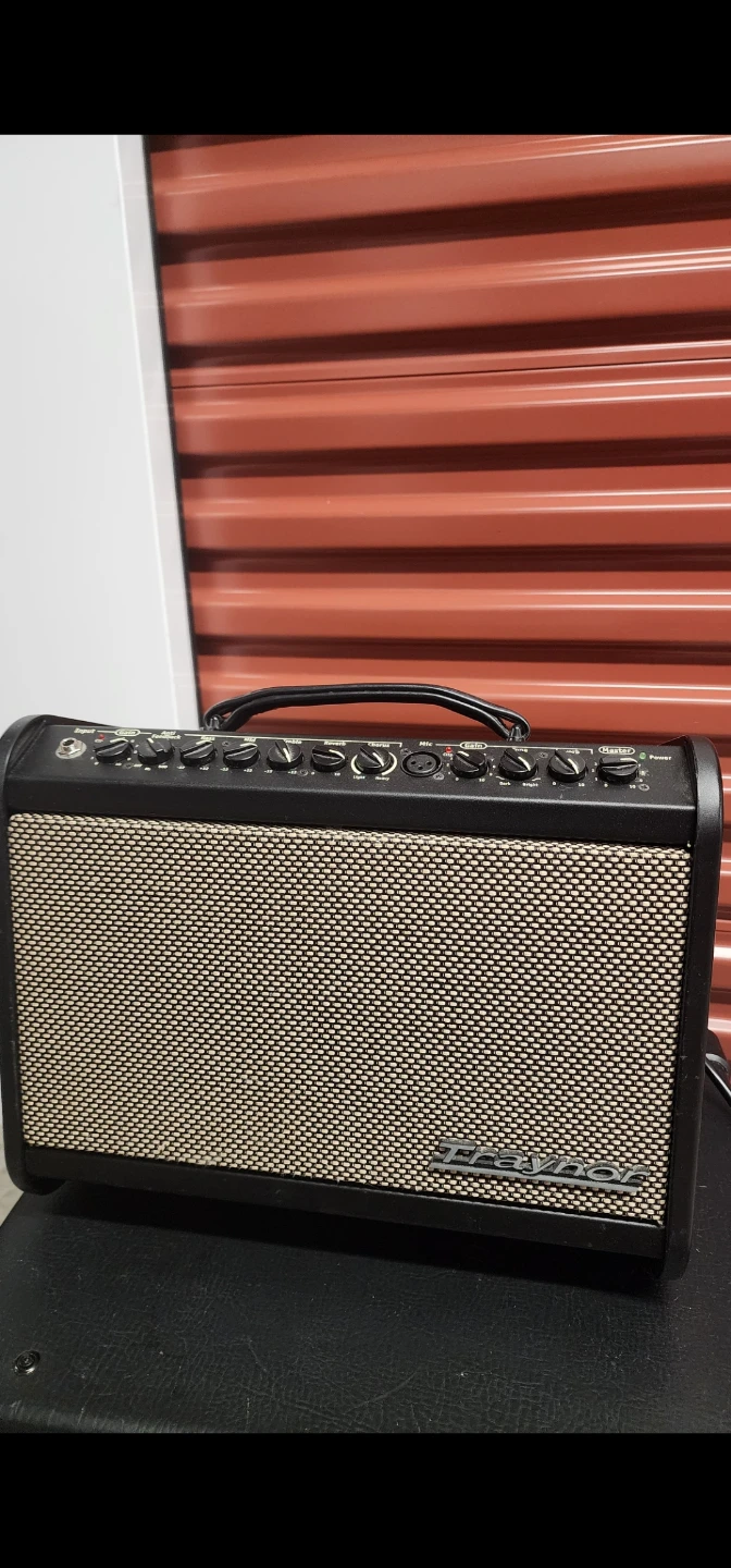 Traynor Acoustic Master Acoustic Guitar Amplifier