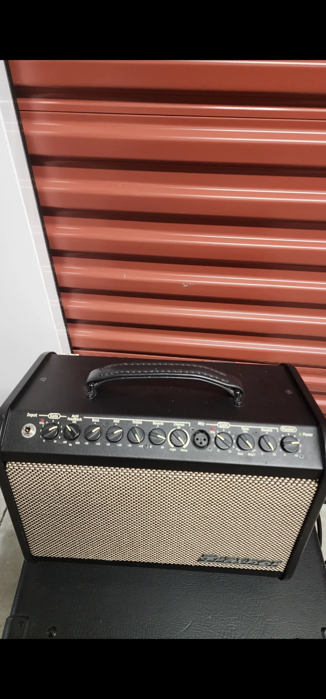 Traynor Acoustic Master Acoustic Guitar Amplifier - photo 2