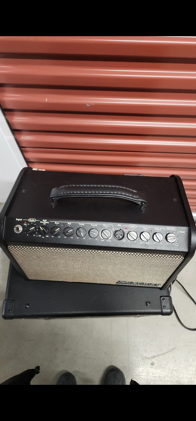 Traynor Acoustic Master Acoustic Guitar Amplifier - photo 3