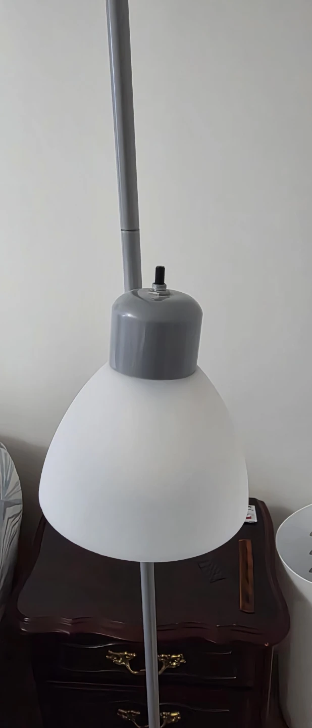 Arc Floor Lamp with Adjustable Reading Light - photo 3
