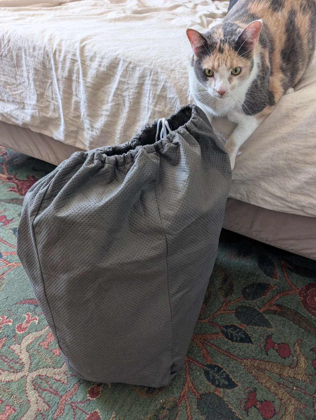 Grey Small Car Cover - photo 2