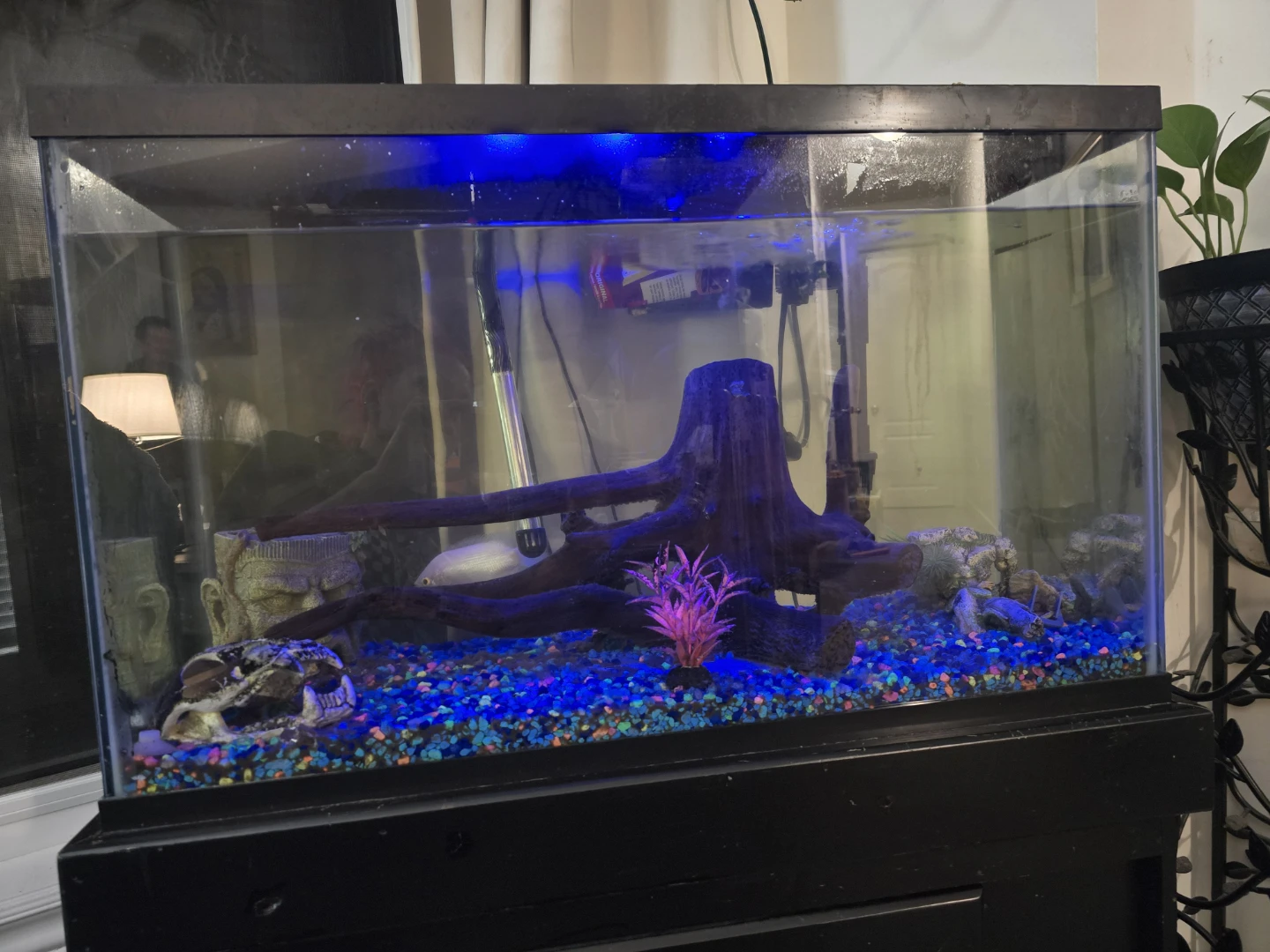 Aquarium with Decorations and Filter - photo 2