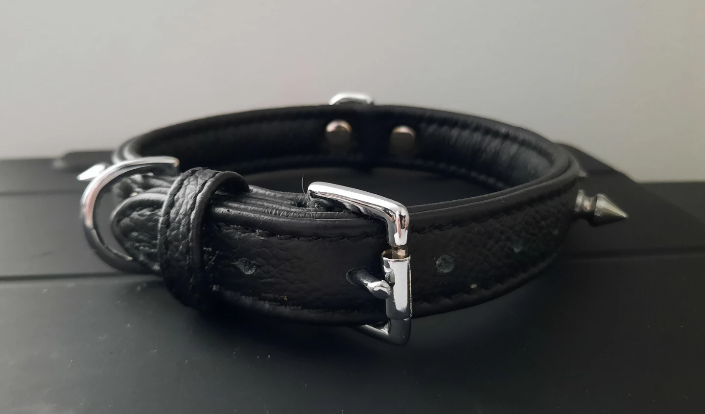 Angel Rotterdam Spiked Leather Dog Collar - Black