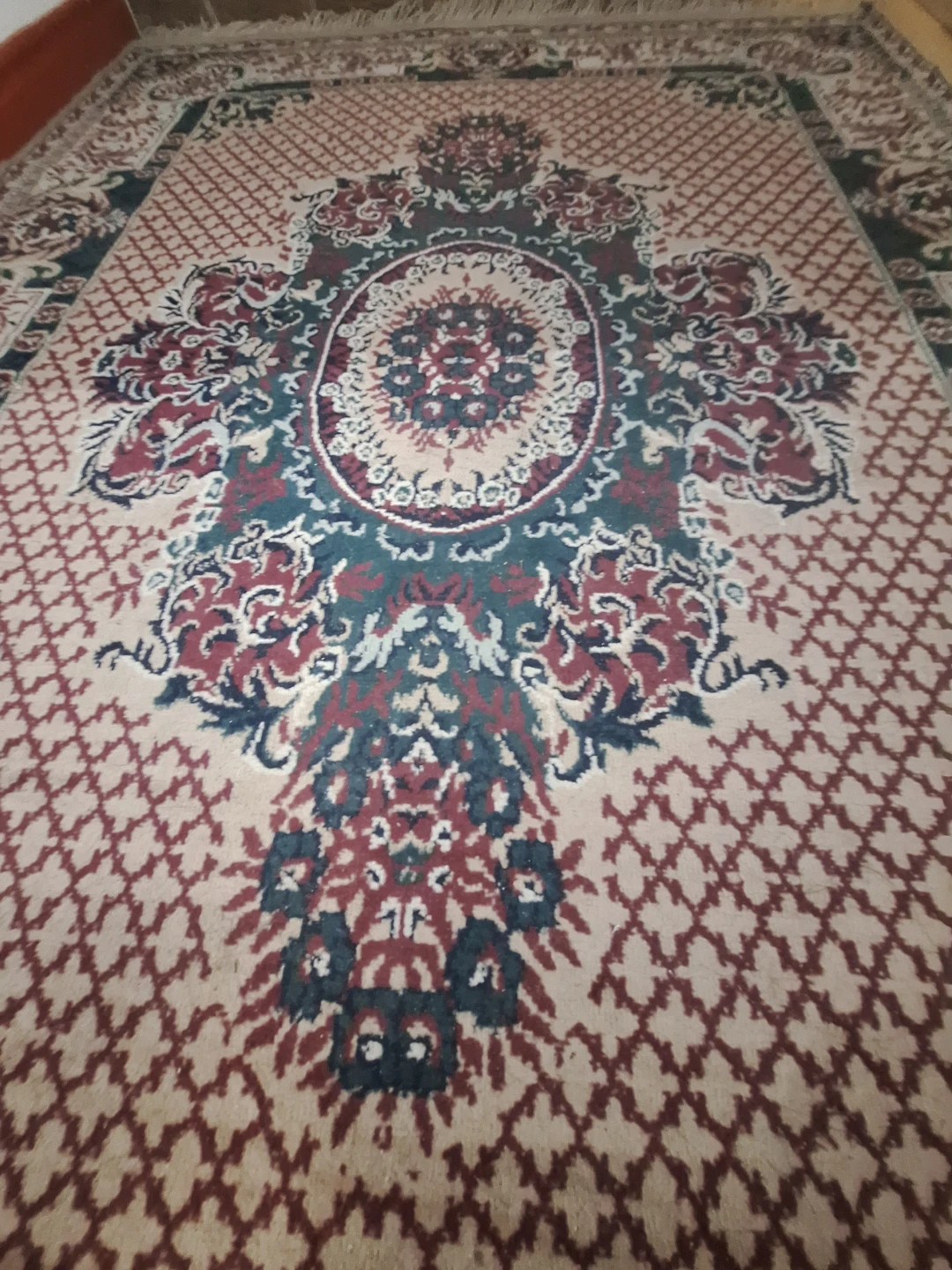 Area Rug 8×10 - photo 2