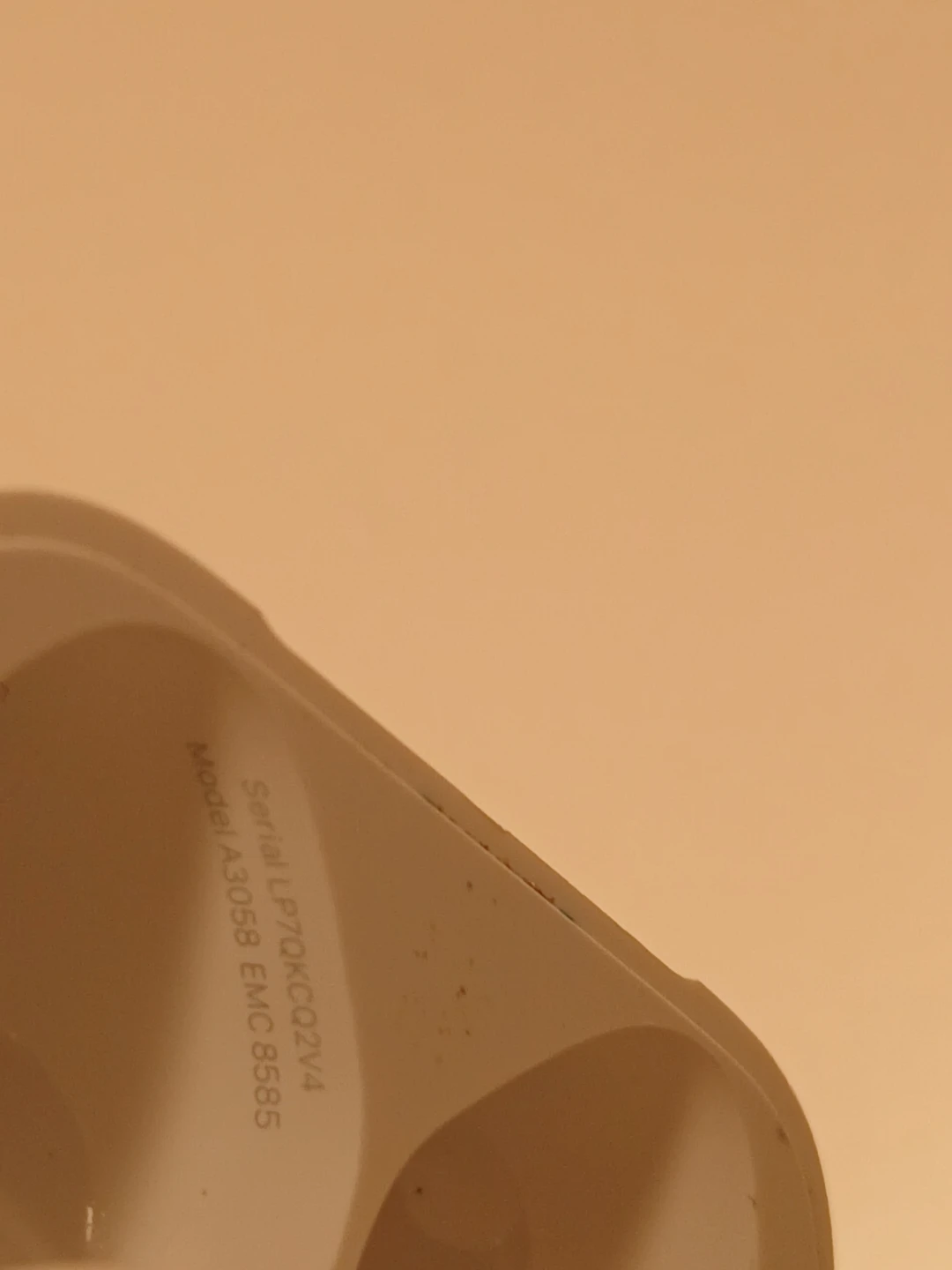 Apple AirPods Pro Charging Case with Earbuds - photo 4