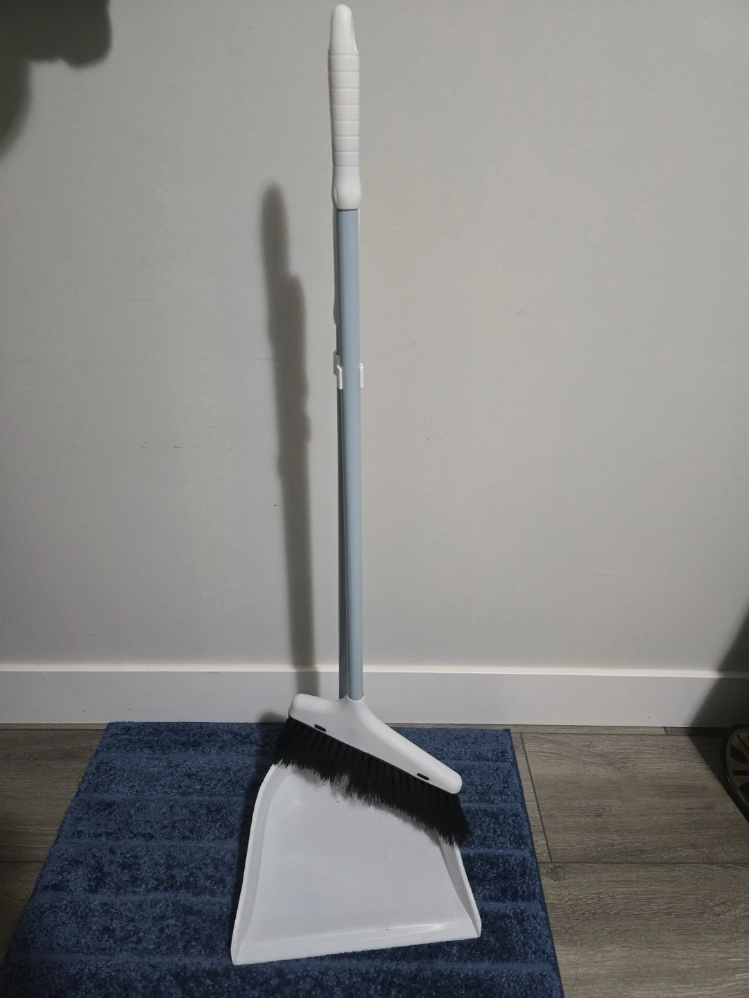 Dustpan and Broom Set