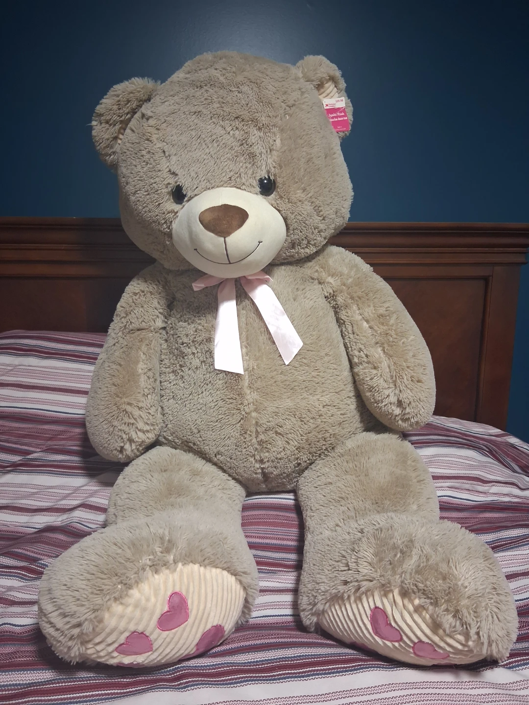 Jumbo Plush Teddy Bear
