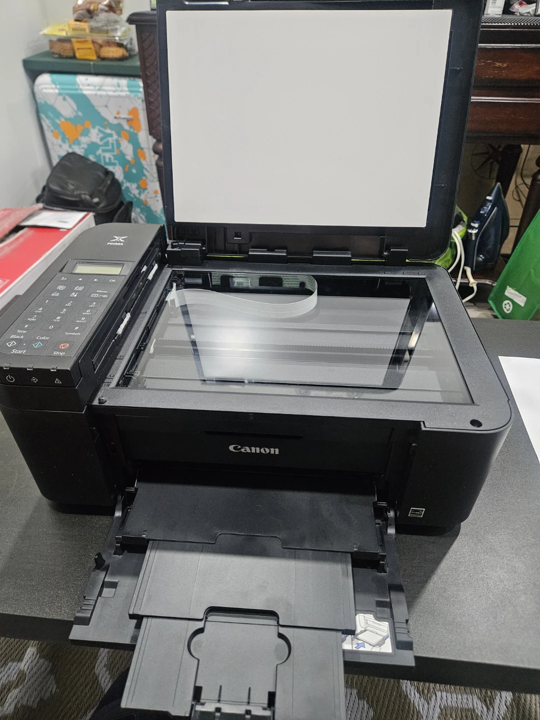 Canon PIXMA All-in-One Printer no ink - photo 4