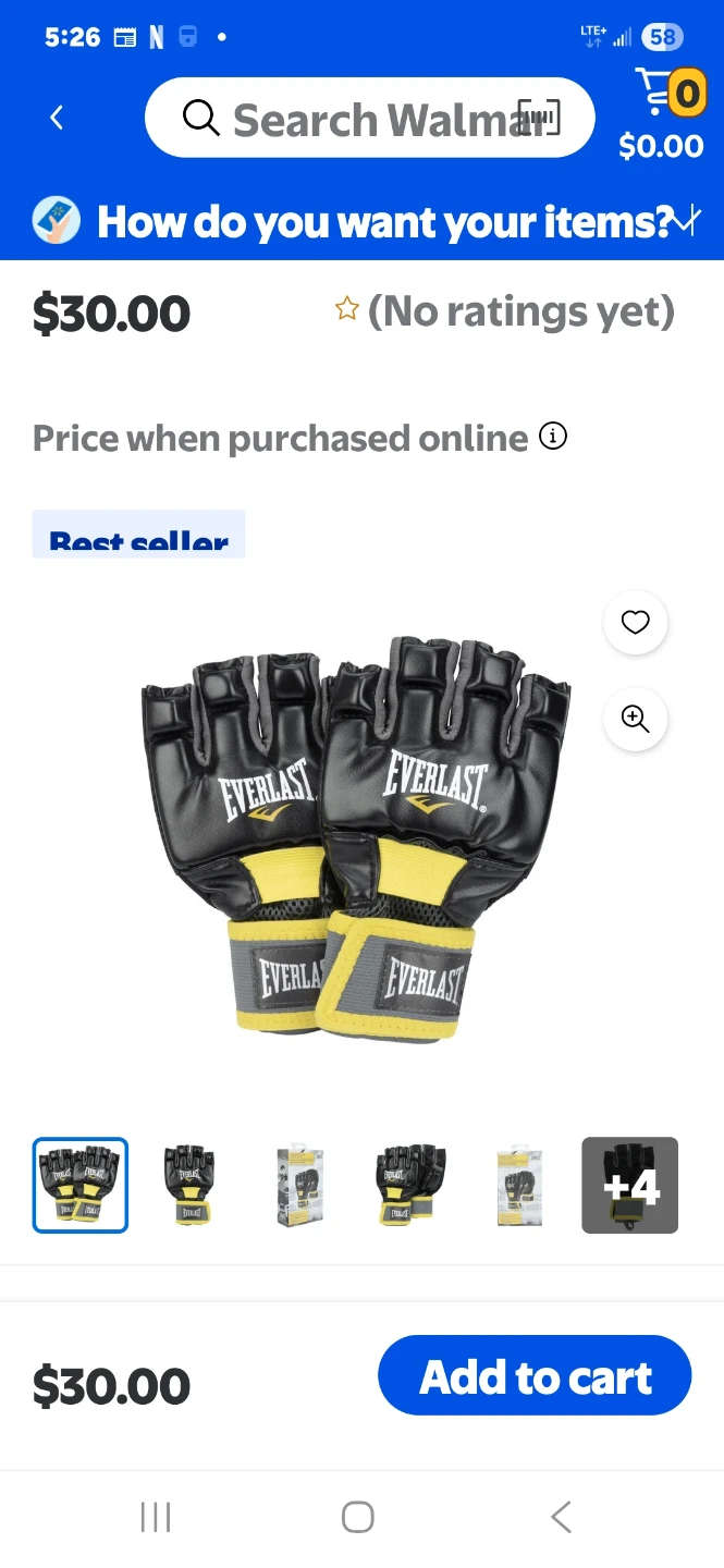 Everlast MMA Training Gloves