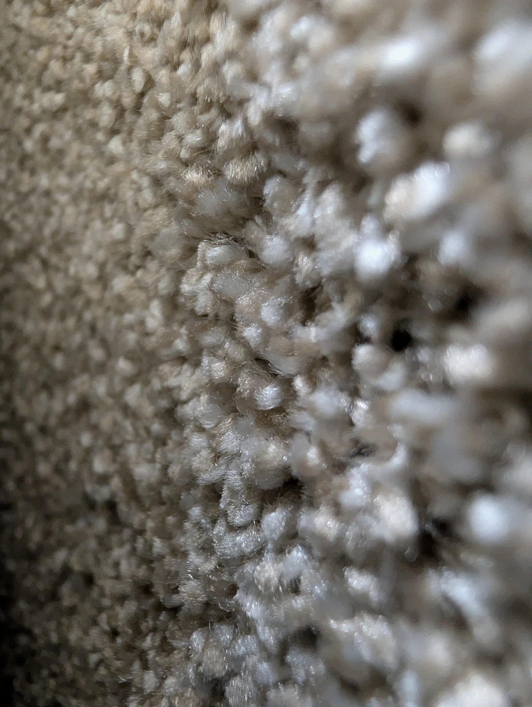 Light Beige Textured Carpet Roll - photo 3