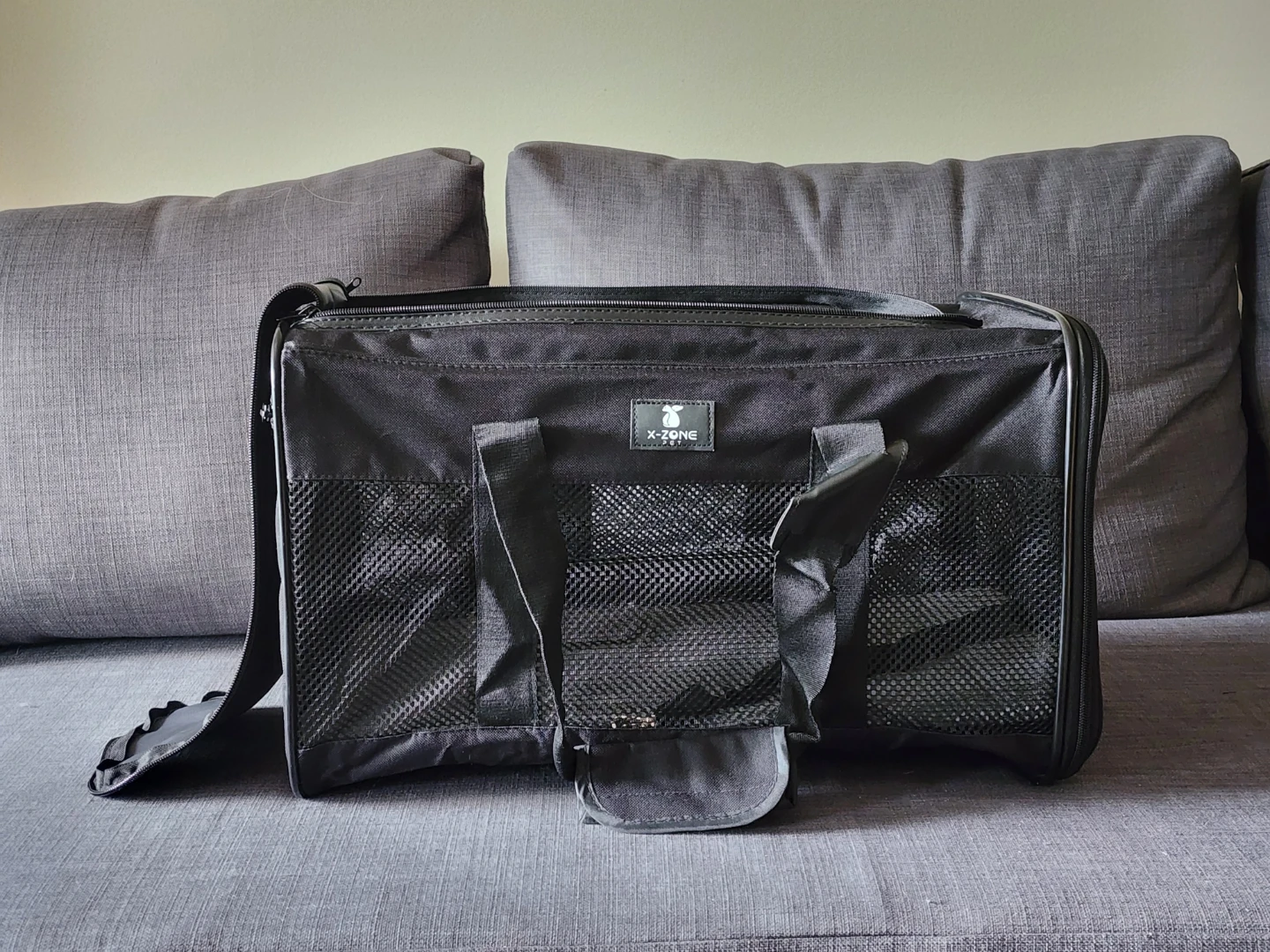 Pet Travel Carrier