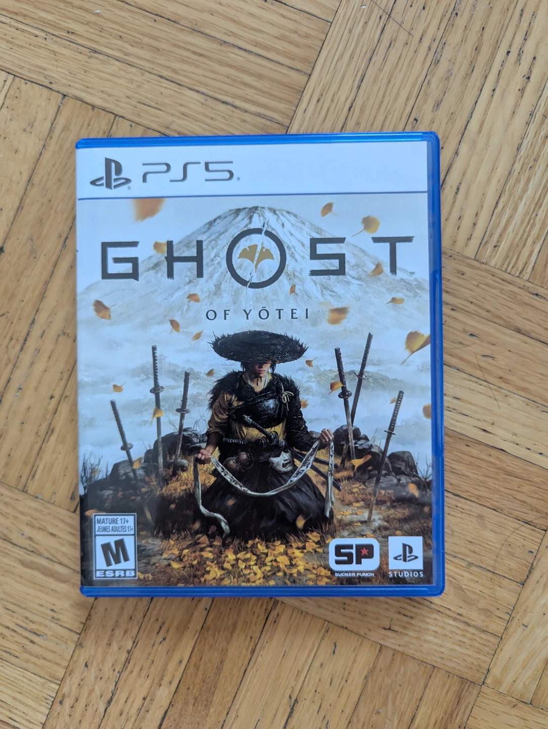 Ghost of Yotei