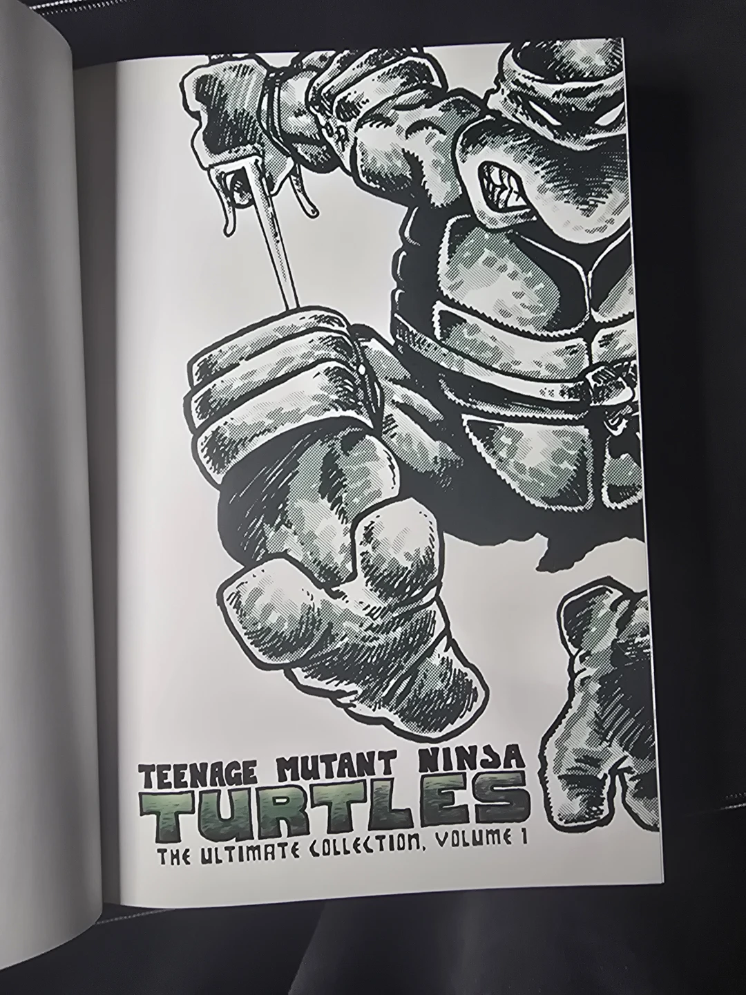 Teenage Mutant Ninja Turtles: The Ultimate Collection Vol. 1 - photo 3