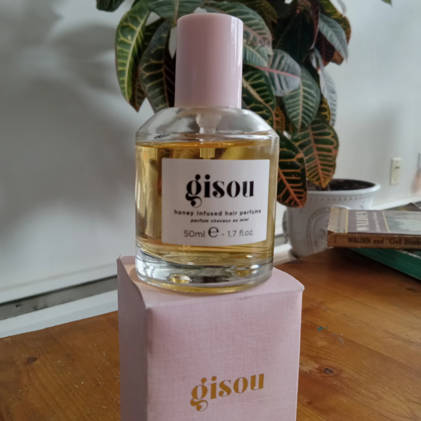 Gisou hair perfume 50ml