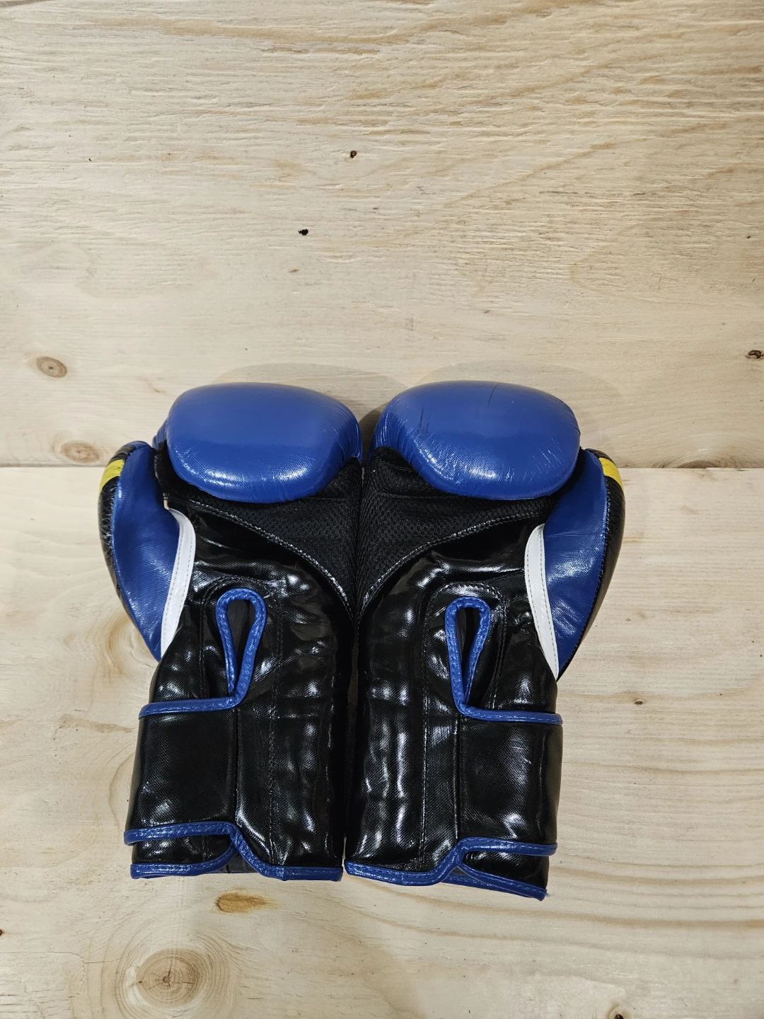 Pro Canada Fitness Boxing Gloves 16 oz