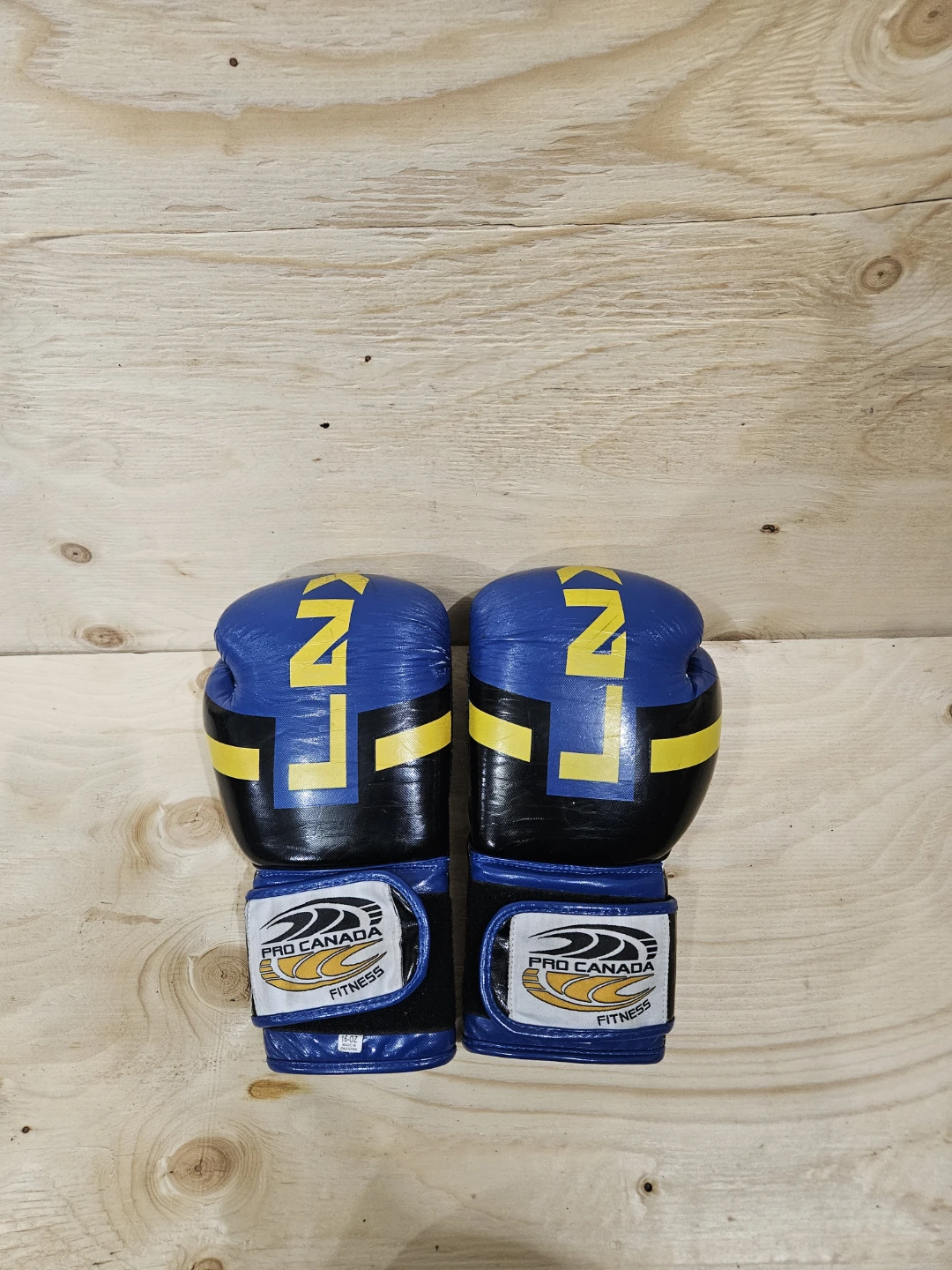 Pro Canada Fitness Boxing Gloves 16 oz - photo 2